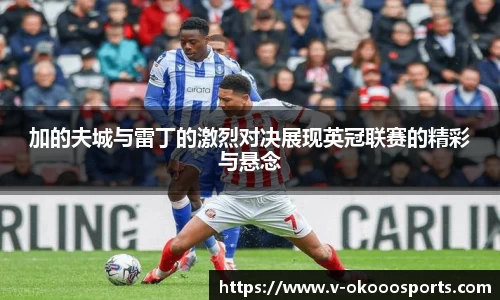 加的夫城与雷丁的激烈对决展现英冠联赛的精彩与悬念